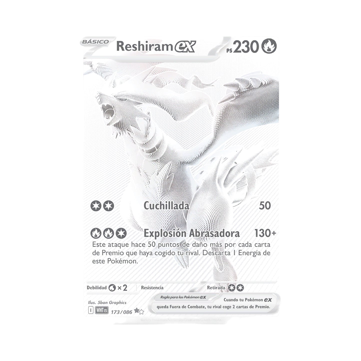 Elite Trainer Box - Llama Blanca [ESP]